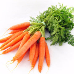 Carrot Seed Oil