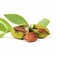 Jojoba Oil