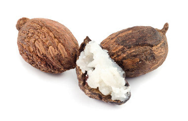 Shea Oil